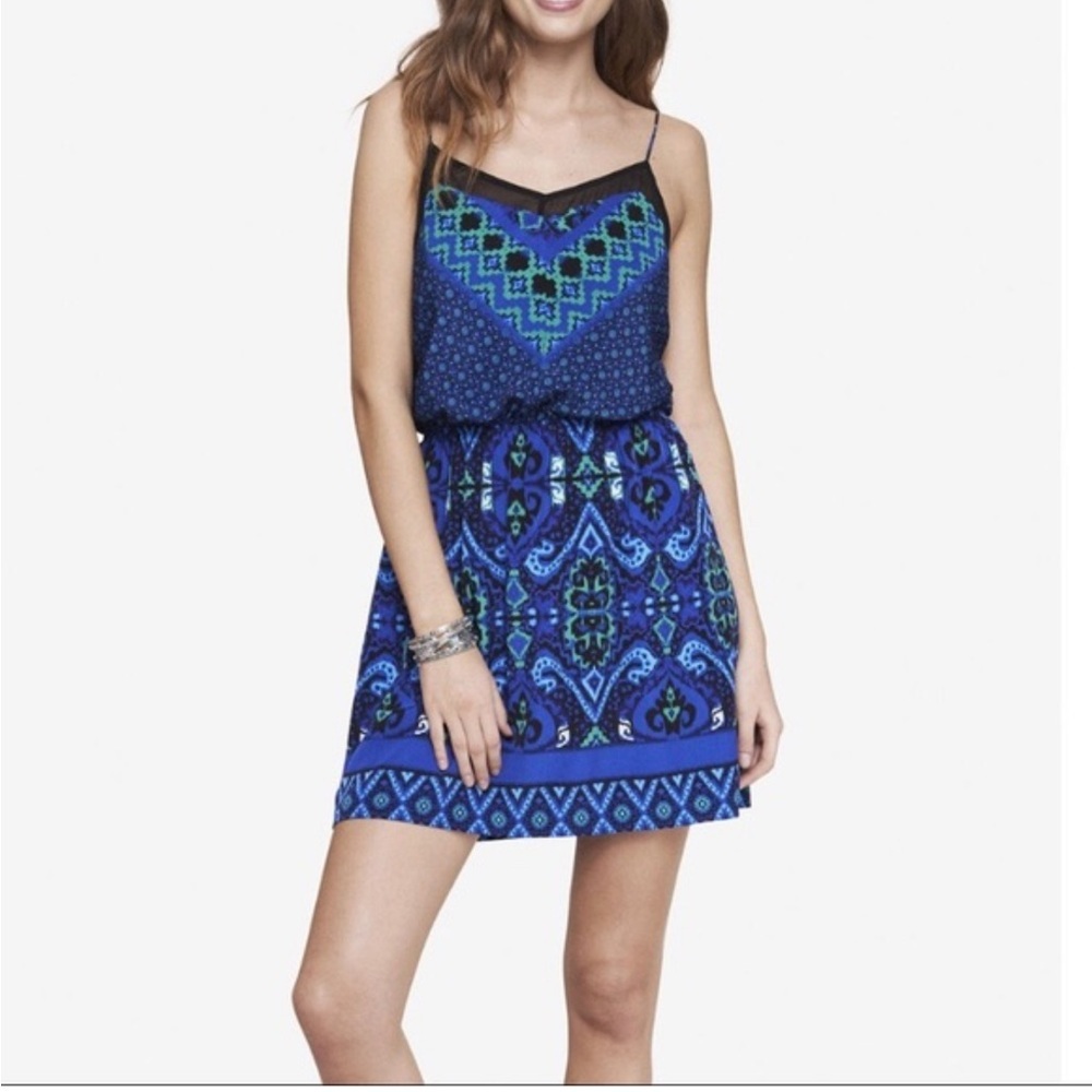 EXPRESS Dark Flower Mini Dress with Sheer details Whimsigoth